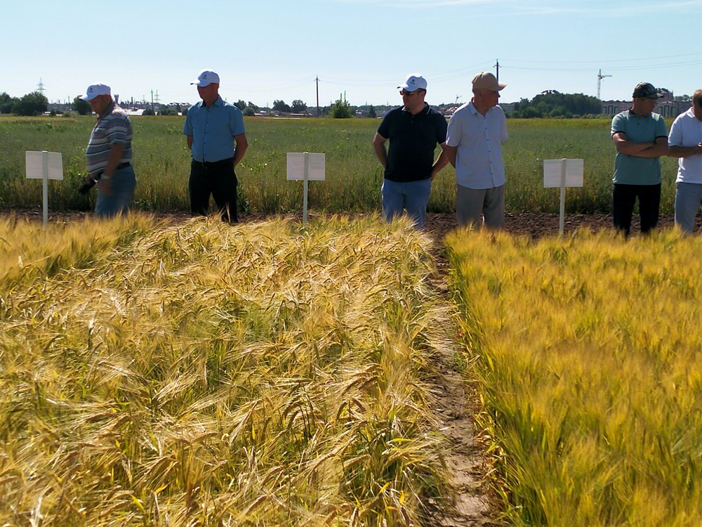 Участники семинара у демпосева ячменя