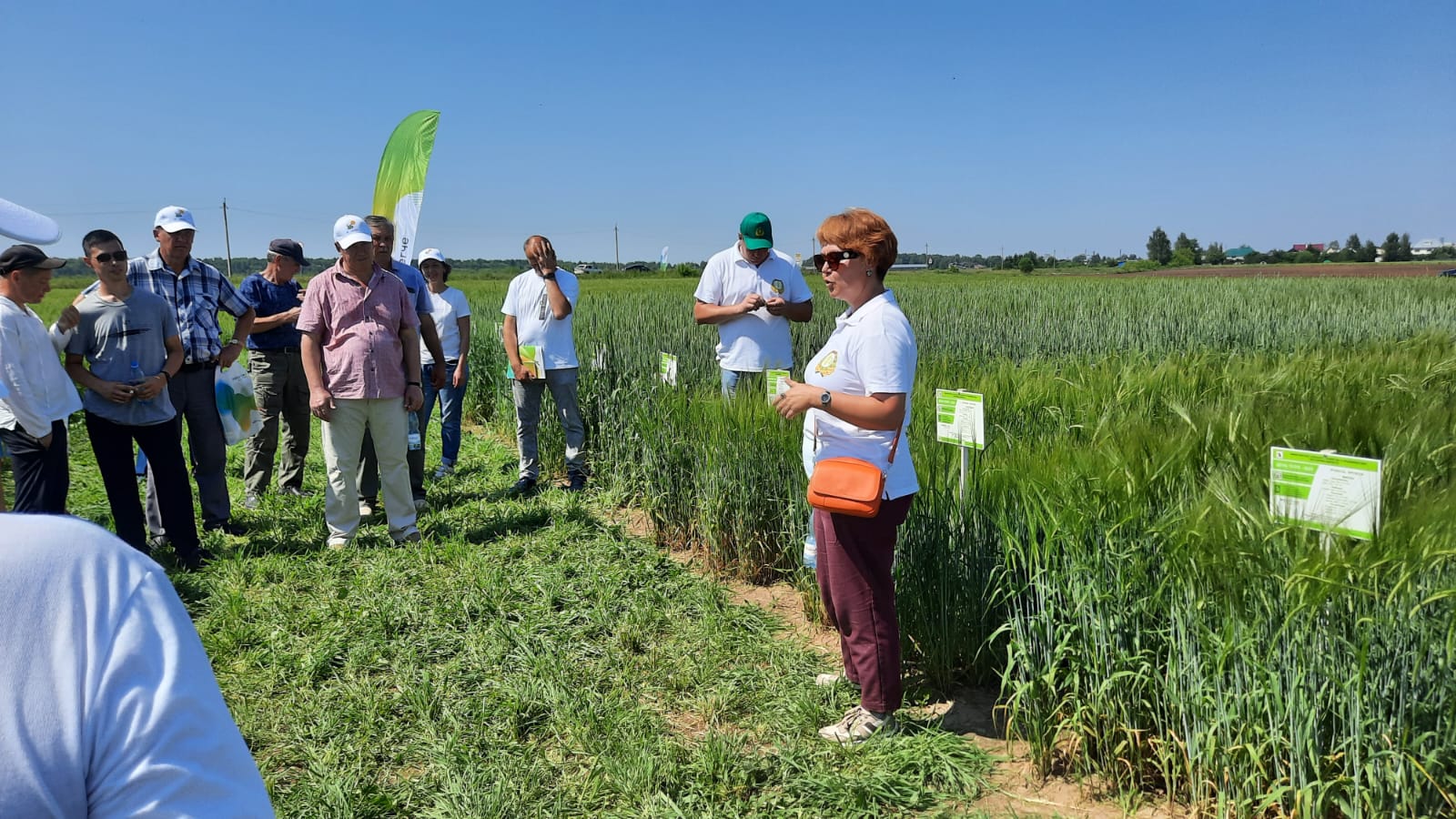 Участники семинара на фоне опытного поля