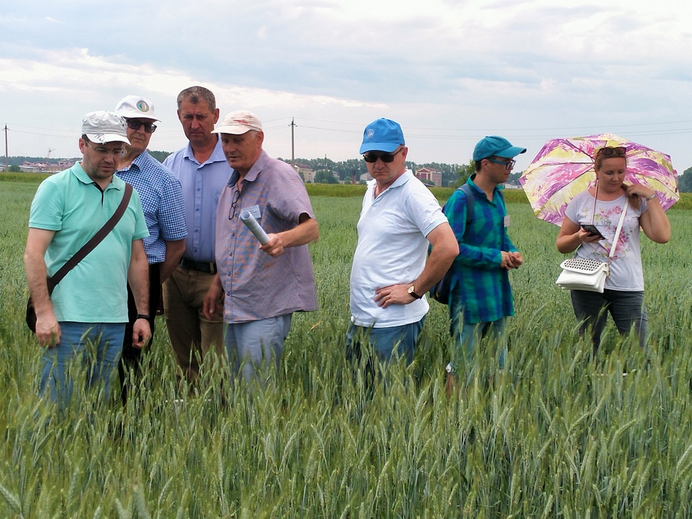 Лапшин Ю.А. выступает по яровым зерновым