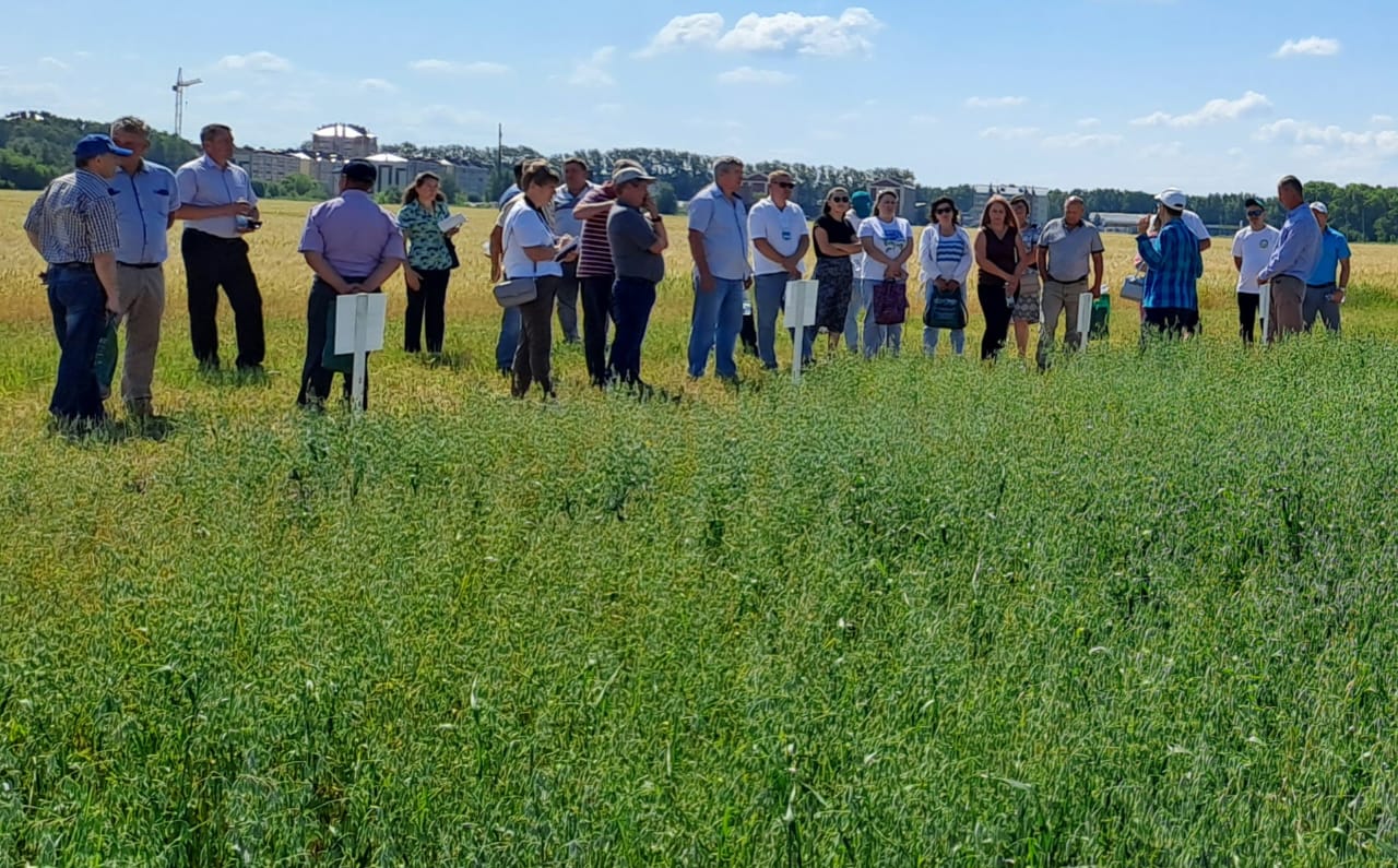 Участники семинара